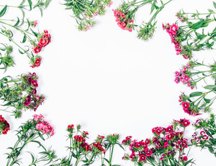 Top view pattern of pink flowers with empty center