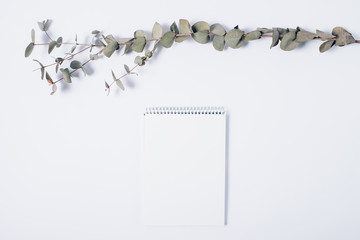 Fototapeta na wymiar Minimal composition of blank notepad and eucalyptus branch