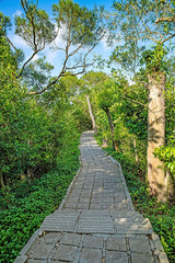 Shenzhen Nanshan Park Mountaineering Road / Mountain Road under the blue sky