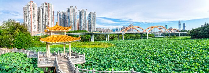 Shenzhen Honghu Park Panorama / Lotus Pond and Rainbow Bridge