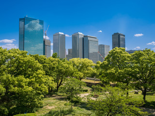 Park in Tokyo