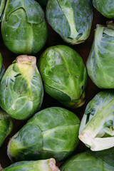 Naklejka premium Fresh Brussel sprouts