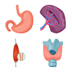 Vector design of body and human icon. Collection of body and medical stock symbol for web.