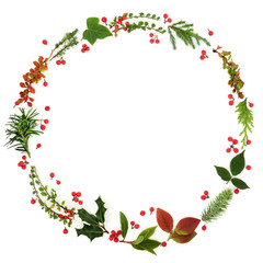 Winter and Christmas minimalist wreath garland with natural flora of leaf sprigs, holly berries and plants om white background. Traditional christmas greeting card for the festive season.