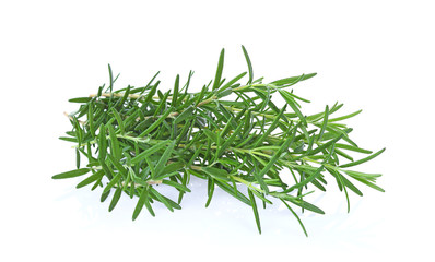 Rosemary isolated on white background