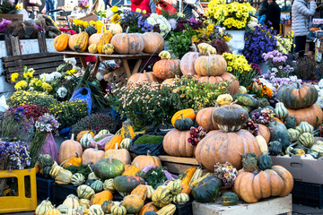 Autumn harvest of pumpkins in the market