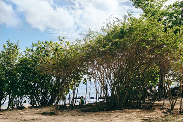 Nature sauvage au bord de l'eau