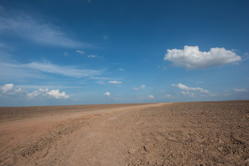 Fototapeta na wymiar bare land with drought soil prepare for growing sugarcane with blue sky