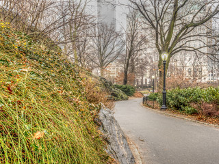 Central Park, New York City spring