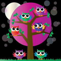 colorful owl in a tree