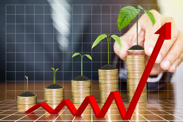 Businessman hand holding money growing plants on money coins stack arranged as a graph with red arrow on wooden table, concept of money growth and saving money