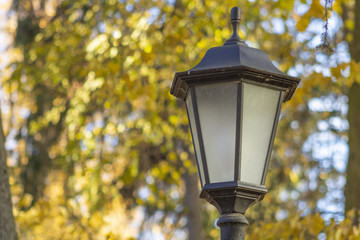 Fototapeta na wymiar Lantern on the background of autumn leaves