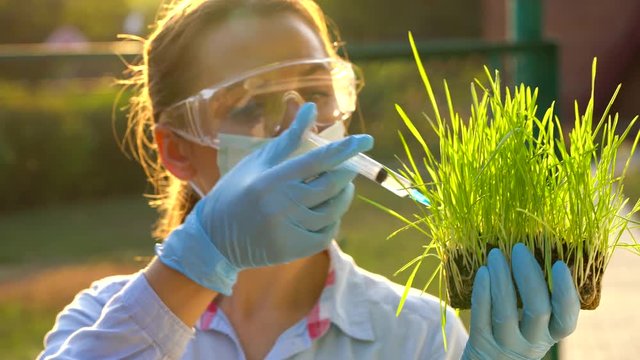 Woman agronomist in goggles and a mask examines a sample of soil and plants