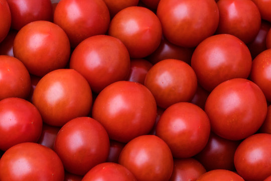 Rote Tomaten