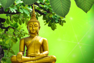Golden Buddha statue from Thailand on background,symbol of religion buddhism.design with copy space add text