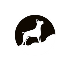 dog logo vector design template.