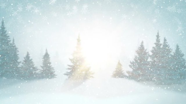 Snowfall, snow and fir trees covered with hoarfrost and snow in evening forest in winter. Looped motion graphic.