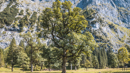 Beautiful alpine view at the Big Maple Ground - Austria