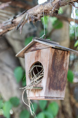 Nests are made of wood hanging on the branches.