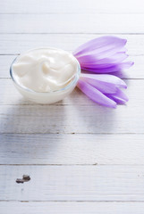 Fototapeta na wymiar cosmetic cream and autumn crocus herbal flower on white wooden table