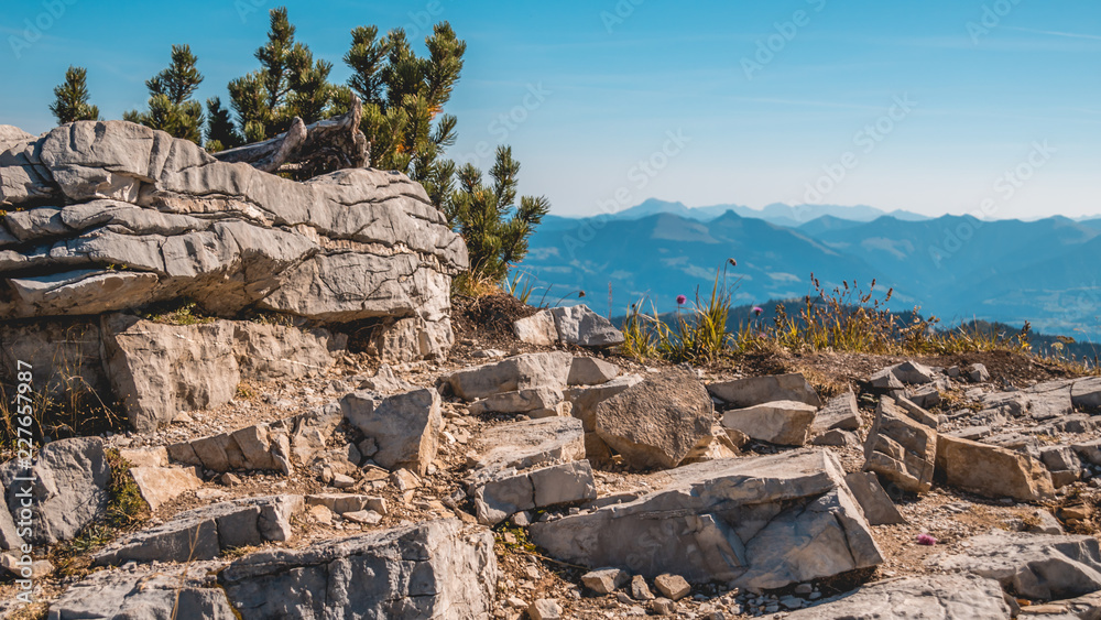 Wall mural beautiful alpine view at the kehlsteinhaus - eagle s nest - berchtesgaden - bavaria - germany