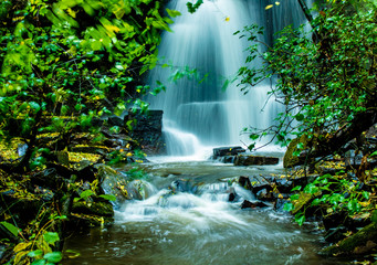 Fototapety  Wodospad w Harmby Falls w lesie