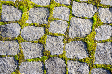 paving stones overgrown with moss