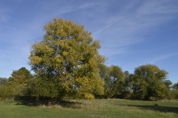 Autumn Landscape in East Westfalia