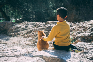 Young child sitting stroking cat, from behind.