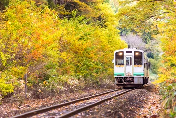 Gardinen White train commuter Fukushima Japan © vichie81