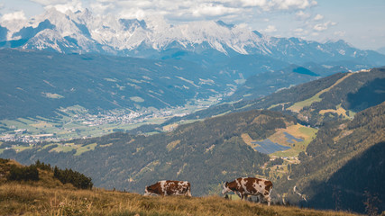 Beautiful alpine view at Wagrain - Salzburg - Austria