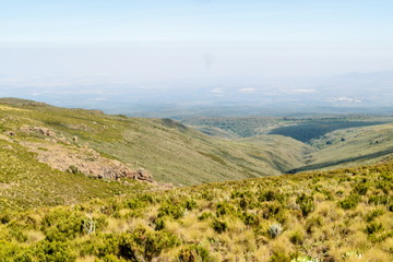 Fototapeta na wymiar High altitude moorland and giant groundsels at Mount Kenya