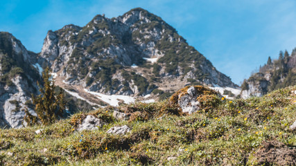 Beautiful alpine view at the Hochfelln - Bergen - Bavaria - Germany