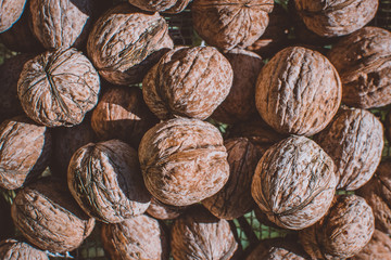 walnuts background harvest