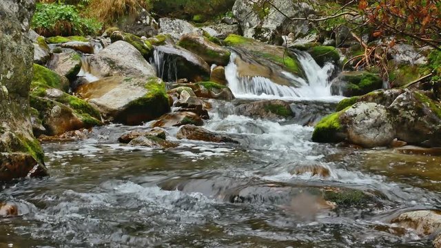 Small. fast running creek going over pebbles and a little cascade in the high tatra, slovakia.