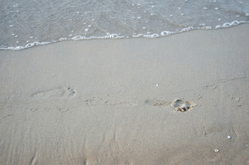 background backdrop from sand, footprints  and water  on the beach