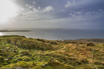 Fototapeta na wymiar Windswept Grassy Coastline of Ireland, looking out at the sea