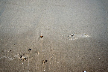 background backdrop from sand and footprints  on the beach