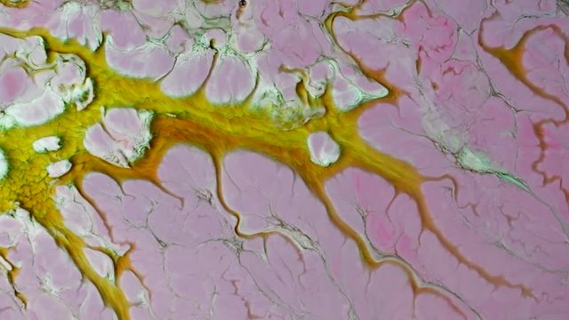 Abstract colorful paint, mixing and movement of multicolored paint in water. Multicolored acrylic paint. Fantastic surface.