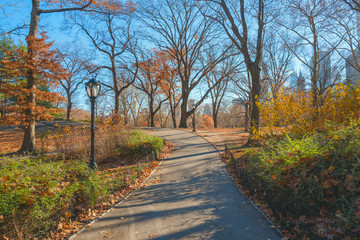 Fototapeta na wymiar Central Park. New York. USA in autumn with beautiful fall trees