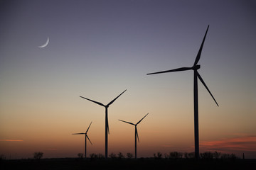 Fototapeta premium Wind energy turbines field in summer at sunset