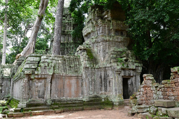 Fototapeta na wymiar Siem Reap; Kingdom of Cambodia - august 24 2018 : Ta Prohm temple