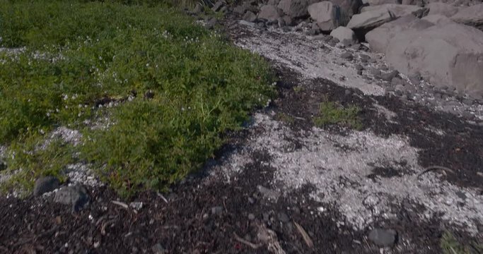 A lighthouse in Gr&radic;&ge;tta, Iceland. (Slowed down)