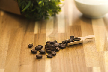 Coffee beans on a wooden spoon