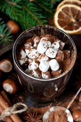 Cup of hot chocolate with marshmallows