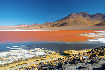 Laguna Colorada. Mountains of Bolivia, altiplano. South America.