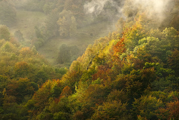 Autumn landscape, natural park Ubiñas table, fog, Asturias, Spain