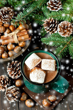 Homemade  hot chocolate in mug  with marshmallow