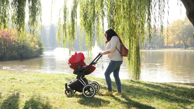 Woman mother walk in beautiful park walking with her baby infant pushing the stroller