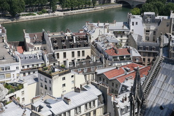 Fototapeta na wymiar View of the roofs of Paris from the height of Notre Dame de Paris